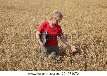 Agricultural expert inspecting quality of wheat, using laptop