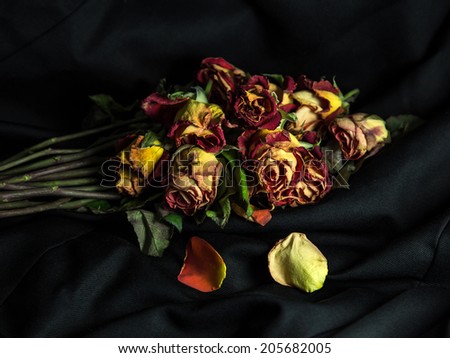 wilted roses over dark wallpaper