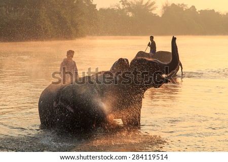 KANCHANABURI, THAILAND - January. 4: Daily elephants bath at The Elephant Center, mahouts bathe and clean the elephants in the the river for show the tourism, January 4, 2015 in Kanchanaburi Thailand.