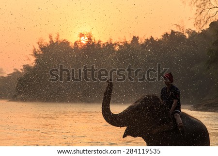 KANCHANABURI, THAILAND - January. 4: Daily elephants bath at The Elephant Center, mahouts bathe and clean the elephants in the the river for show the tourism, January 4, 2015 in Kanchanaburi Thailand.