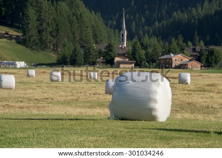 harvested fodder balls in switzerland