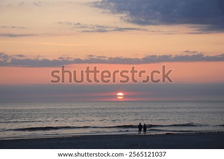 Image, Stock Photo North sea beach with marram grass. Sylt island beach landscape