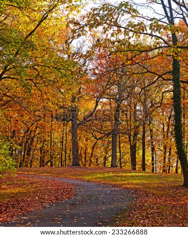 A bike trail along deciduous trees in autumn. Colorful trees foliage in National Arboretum, Washington DC.