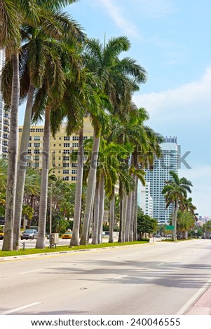 Tropical city landscape of Miami Beach, Florida. Beautiful palm trees along the ocean coast boulevard.