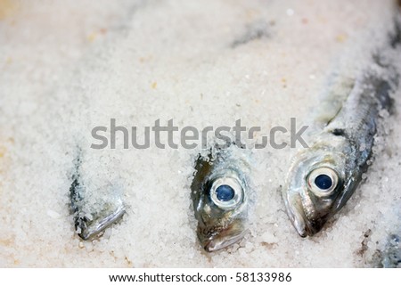 salt fish