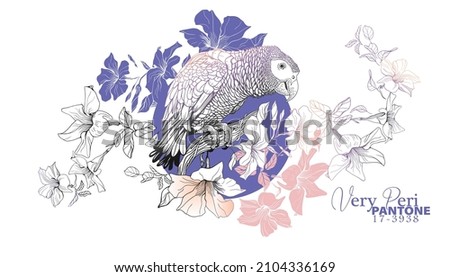 Illustration of a parrot sitting on a branch of a blossoming liana, Dipladenia liana, for printing on textiles, beautiful wallpaper in PANTONE 17-3938 Very Peri color, outline, coloring for adults