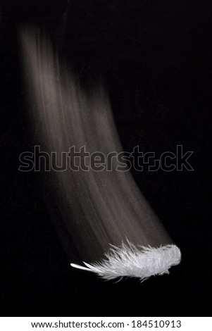 White feather on black background free fall, motion trail