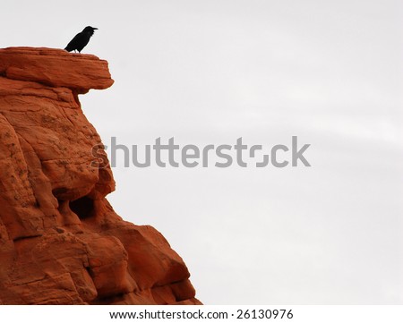 Raven on a red cliff