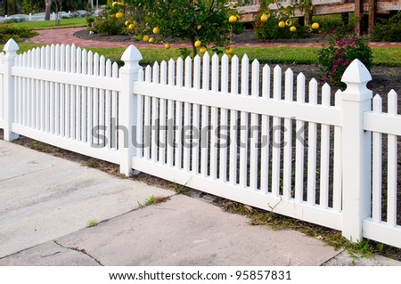 White picket fence and orange trees