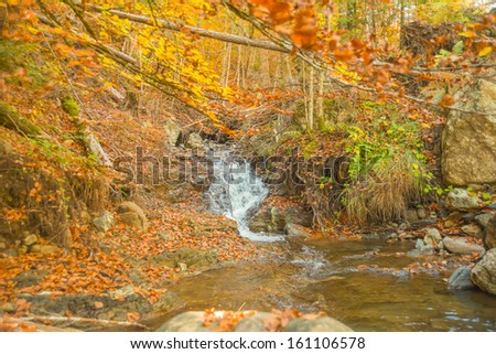 Greece Valia kalda Autumn landscape, colorful leaves on trees, morning at river after rainy night.