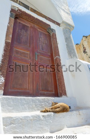 Greece Santorini island in cyclades colorful view of wooden door frame with a cat resting on steps