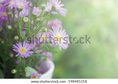 Purple flowers, sweet purple flowers on an old wood background.