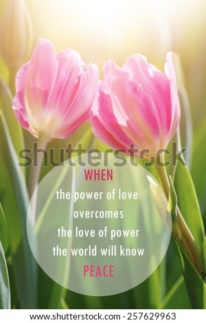 Inspirational Motivational Life Quote on Pink Tulips and filtered image Background Design.
