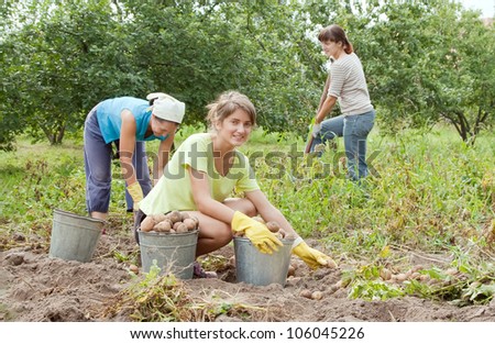 three women harvesting potatoes in field