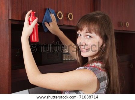 attractive young woman cleaning  furniture at home