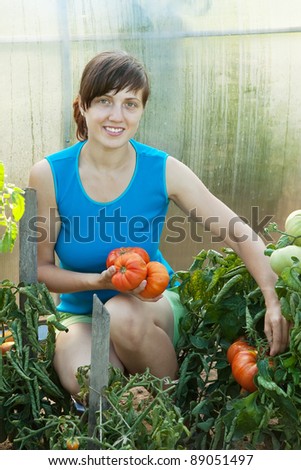 Young woman harvesting tomato in greenhouse