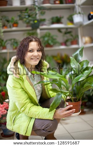 Woman chooses aspidistra flower in a flower shop