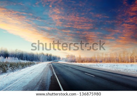 Similar – Foto Bild Feldweg im Dezember, rechts abgestorbene Nadelbäume und ein Hochsitz, rechts Wiesen hinter einem Weidezaun