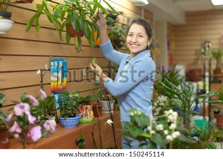 Happy mature woman with  Nepenthes plant surrounded by different flowers in flower store