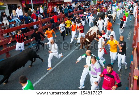 SAN SEBASTIAN DE LOS REYES, SPAIN - AUGUST 30:  Running of the Bulls in August 30, 2013 in San Sebastian de los Reyes, Spain. Running crowd of people and bulls
