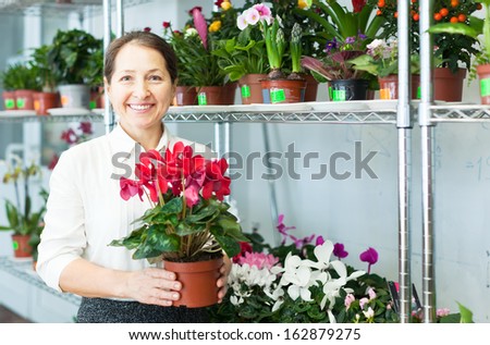 Happy mature woman chooses Cyclamen plant at flower shop