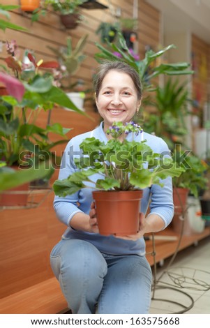 Female florist with primrose flower at flower store