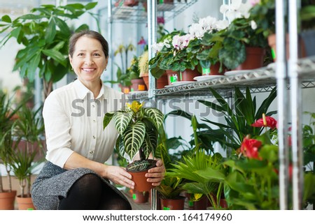 Happy mature woman chooses Aphelandra plant at flower shop