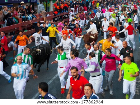 SAN SEBASTIAN DE LOS REYES, SPAIN - AUGUST 30:  Running of the Bulls in August 30, 2013 in San Sebastian de los Reyes, Spain. The race is known as \