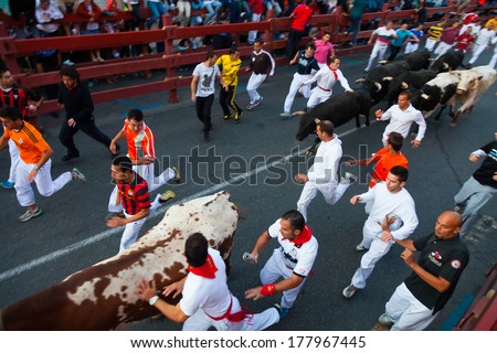 SAN SEBASTIAN DE LOS REYES, SPAIN - AUGUST 30: Encierro in August 30, 2013 in San Sebastian de los Reyes, Spain. Running crowd of people and bulls
