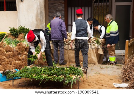 VALLS, SPAIN - JANUARY 26, 2014: Calcotada - popular gastronomical event. Men in traditional clothes cooking calsot on bonfire in Valls