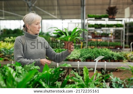 Similar – Foto Bild Frau wählt Pflanzen für den Garten auf dem Blumenmarkt