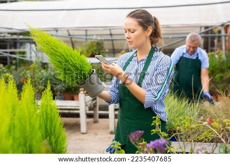 Similar – Foto Bild Frau wählt Pflanzen für den Garten auf dem Blumenmarkt