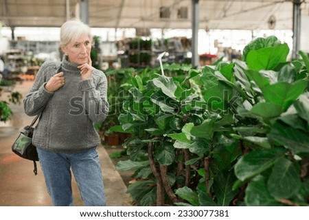 Foto Bild Frau wählt Pflanzen für den Garten auf dem Blumenmarkt