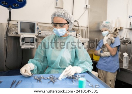 Similar – Image, Stock Photo Female veterinarian preparing dog for operation