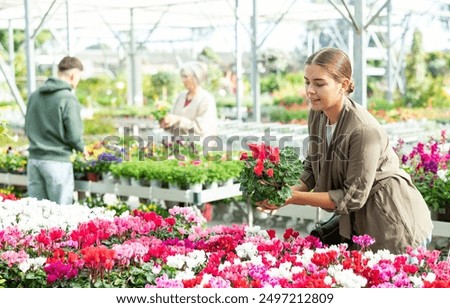 Similar – Foto Bild Weiblicher Kunde wählt Blumen im Gewächshaus