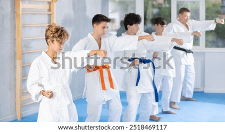 Similar – Image, Stock Photo Martial art practitioners fighting with sticks