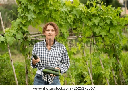 Similar – Image, Stock Photo Hand picking young zucchini fruit with blossom