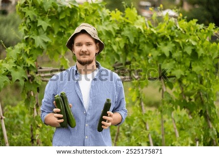 Similar – Image, Stock Photo Hand picking young zucchini fruit with blossom