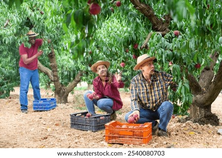 Similar – Image, Stock Photo woman picking peaches in field