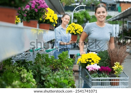 Similar – Foto Bild Weiblicher Kunde wählt Blumen im Gewächshaus