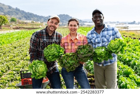 Similar – Image, Stock Photo Male gardener holding freshly harvested turnips from garden