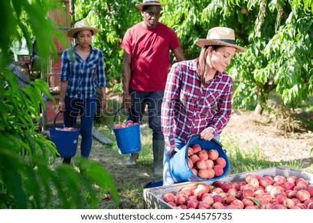 Similar – Image, Stock Photo Harvest time! Food Fruit