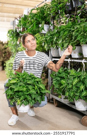 Similar – Foto Bild Weiblicher Kunde wählt Blumen im Gewächshaus