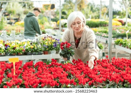 Similar – Foto Bild Weiblicher Kunde wählt Blumen im Gewächshaus