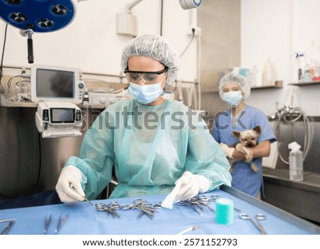 Image, Stock Photo Female veterinarian preparing dog for operation