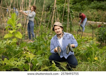 Similar – Image, Stock Photo Hand picking young zucchini fruit with blossom