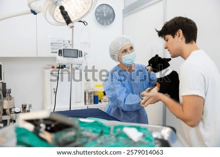 Similar – Image, Stock Photo Female veterinarian preparing dog for operation