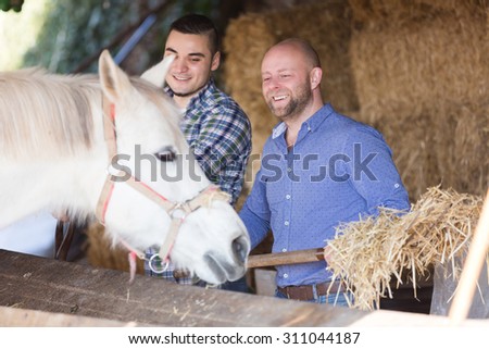 Two smiling farm workers feeding white horses with the hay at stable