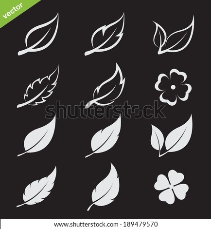 Vector Leaves Icon Set On Black Background - 189479570 : Shutterstock