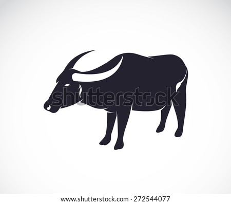 Vector image of an buffalo on white background.